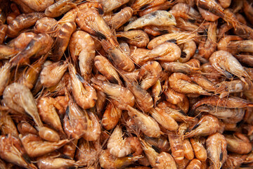 Texture petites crevettes.