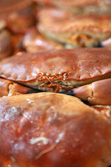 Crabes.