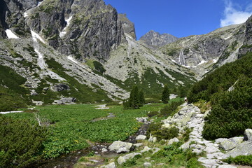 Fototapeta na wymiar Little Cold Water Valley, Tatra Mountains, Slovakia,