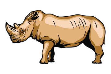  Rinoceronte Vector illustration - Hand drawn