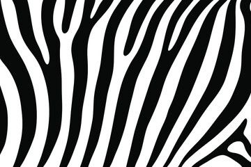  zebra skin background - vector illustration