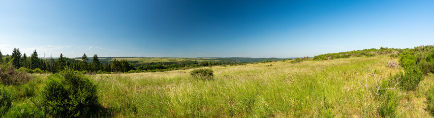 Fototapeta premium Panorama bei Wollseifen auf der Dreiborner Hochfläche in der Eifel im Sommer 