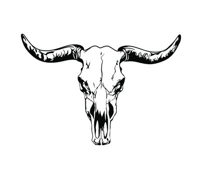 Buffalo skull - hand drawn vector illustration isolated on white background