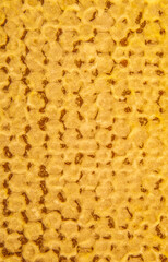 image of natural honeycomb background 
