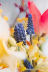 still life with flowers shot on 35mm film