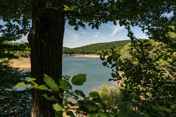 Blick auf die Urft im Nationalpark Eifel im Sommer - Urftsee