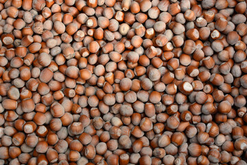 Hazelnut. Lots of nuts. Background