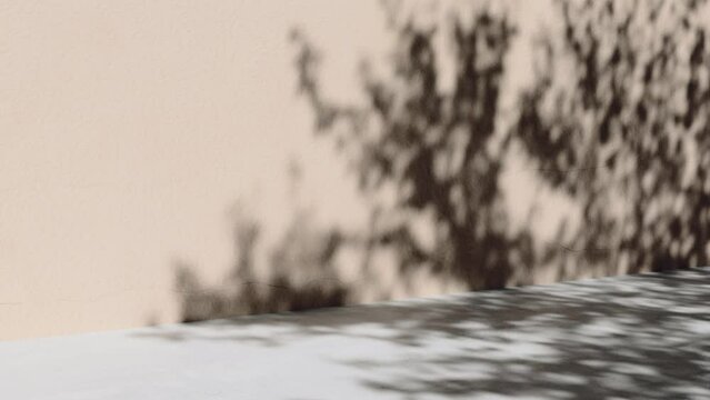 3D Video 4k Concrete place background and beige plaster with nature gobo shadows cyclic