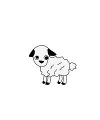 little lamb illustration