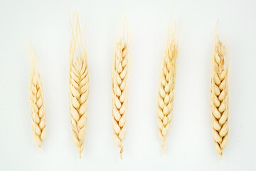 Yellow spikelets of rye and wheat. An ear of oats. Bread and pastries. Delicious cookies according to homemade recipes