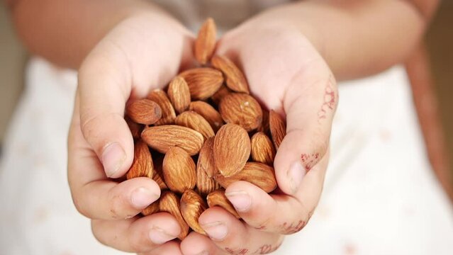 child hand holding almond nuts close up 