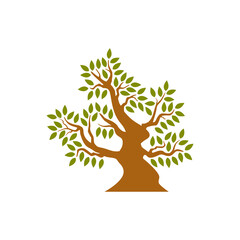 Tree isolated on white background