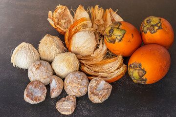 Ripe betel nut or areca nut isolated on dark background.