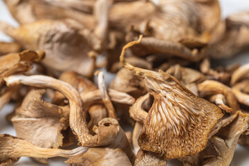 Nahaufnahme von getrockneten Austernpilzen, Makrofotografie Trockenpilze