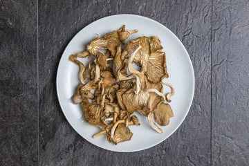 Weißer Porzellanteller mit getrockneten Austernpilzen, mittig, zentrierte Draufsicht.