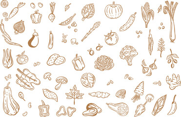 Vegetables collection hand drawn - Out line