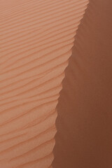 Vertical close-up of the top of sand dunes in Al Wathba, a majestic desert in Abu Dhabi, United Arab Emirates.