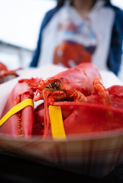 A Closeup Of A Cooked Red Lobster On A Paper Plate