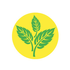 Vector graphic illustration of Green leaves in yellow circle background. Symbolizes eco-friendliness, sustainability and natural beauty. Ideal for logos, eco-branding or environmental themed projects.