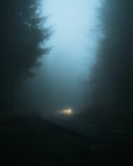 Car in the street surrounded by forests in the foggy night