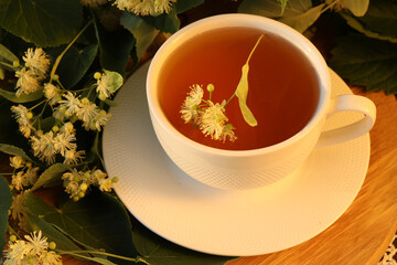 cup of herbal tea with beautiful linden blossom