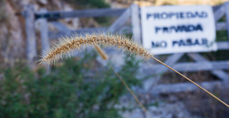 paisajes de la carretera en pleno atardecer