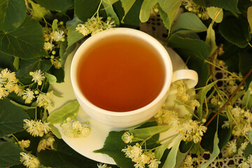 cup of herbal tea with beautiful linden blossom
