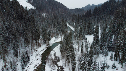 winter wonderland