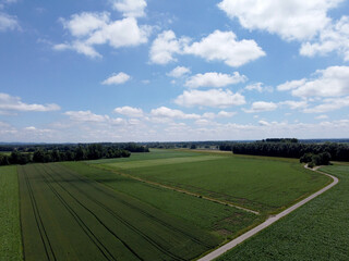Aerial view of an agricultural field with grain planted in spring in Bavaria