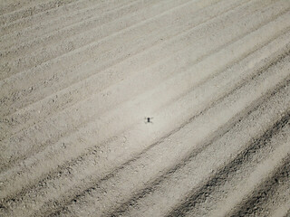 Naklejka premium Aerial view of an agricultural field with grain planted in spring in Bavaria
