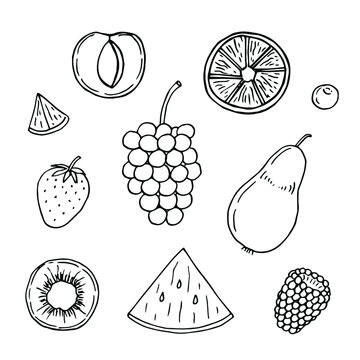 Fruit set vector illustration, hand drawing doodles