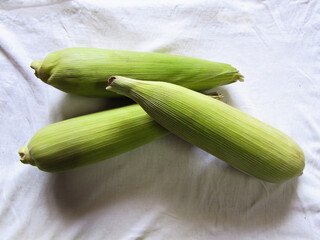 Heap of Corn on white background