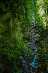 river bed along a steep limestone wall in the forest