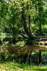 Fototapeta premium Park Dojlidy Bialystok,samo poludnie