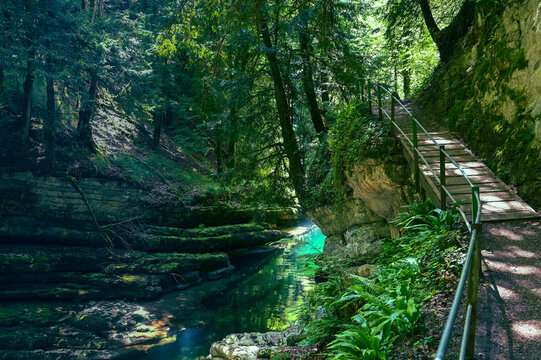 hiking path in the forest along a river stream in the jura mountains