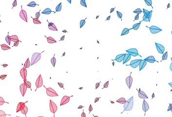 Light Blue, Red vector doodle template.