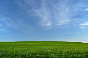 Breathtaking green field with superb sky above (Windows like).