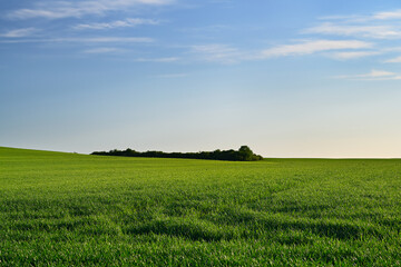 Fototapeta na wymiar Green field with superb sky above, scenic.