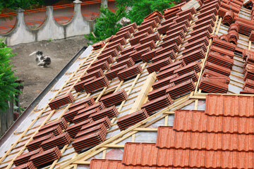 Obraz na płótnie Canvas Roofing construction with clay roof tiles. Roofer laying ceramic roof tiles. Lay roof tiles 