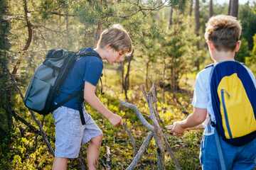 Two children collecting wood building camp in summer vacations. Friends gathering sticks at forest.