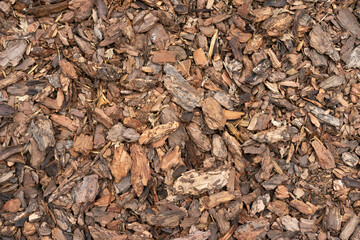 Pine Bark Mulch. A pile of wood chips to be used as landscaping mulch
