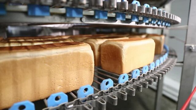 Loaves of bread in a bakery on an automated conveyor. selective focus