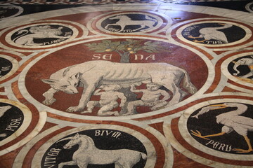 Carpet floor, Duomo di Siena, Italy