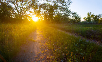 closeup ground road in forest at the sunset, natural outdoor background