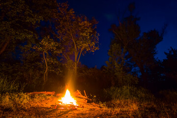 camp fire burn on night forest glade