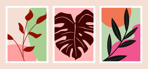 Set de tres cuadros minimalistas decorativos de pinturas de hojas monstera vector ilustracion plantas
