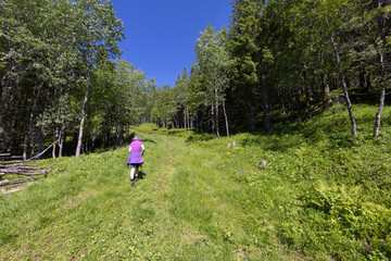 Obraz premium Hiking to the mountains Seterfjellet a warm and beautiful summer day, Northern Norway- Europe 