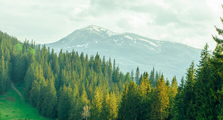 Landscape, haze view in the mountains, wallpaper, pattern , postcard , poster silhouettes of mountains and green forests petros carpathian wallpaper 