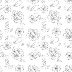 Fototapeta na wymiar Hand-drawn floral vector pattern, Seamless floral pattern for summer