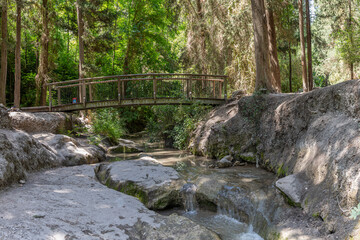 Wooden bridge over Nahal Hashofet stream at Ramot Menashe Forest part of the Carmel mountain range in Israel
